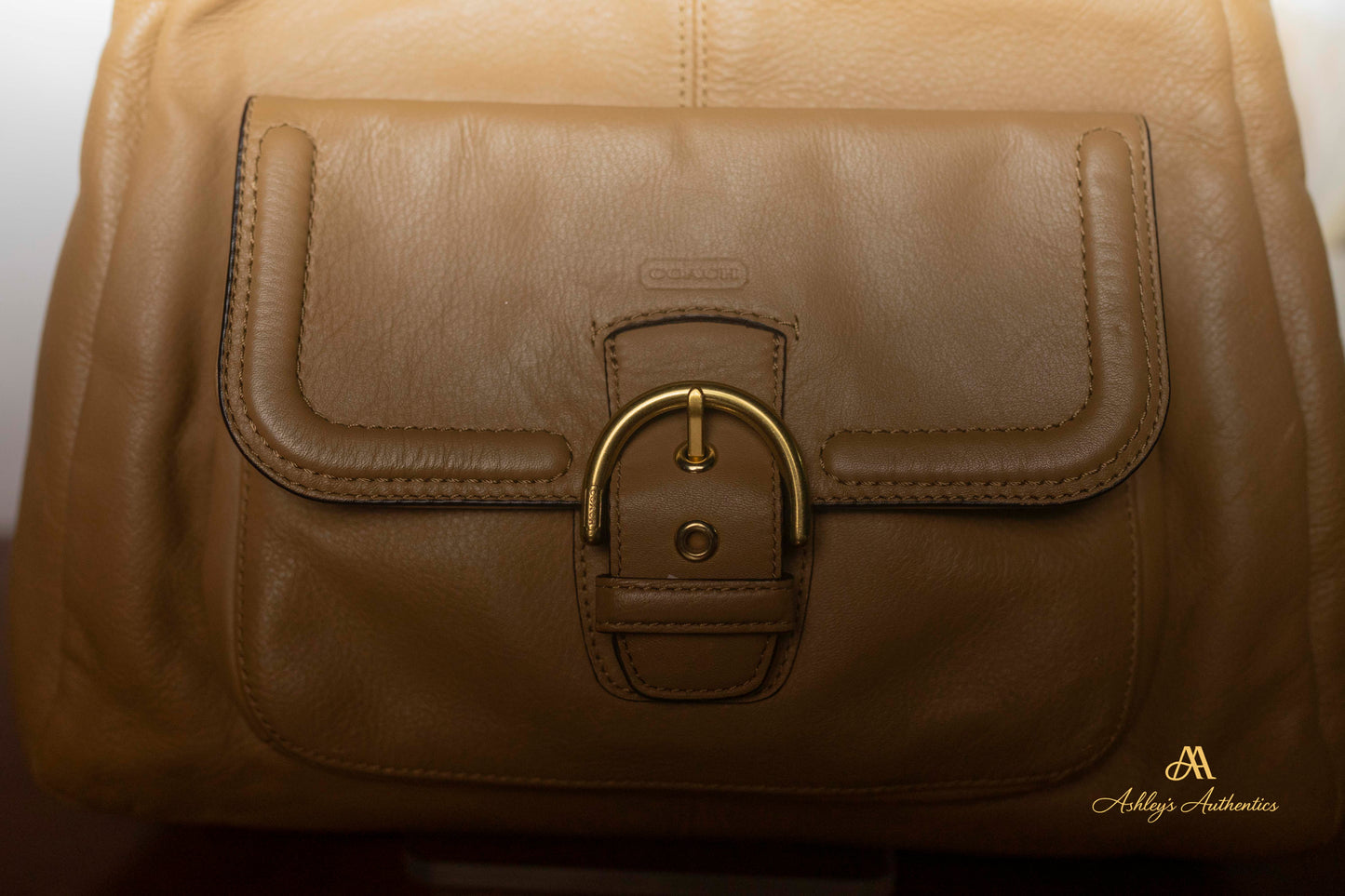 Coach Campbell Leather Triple Entry Leather Hobo Shoulder Bag