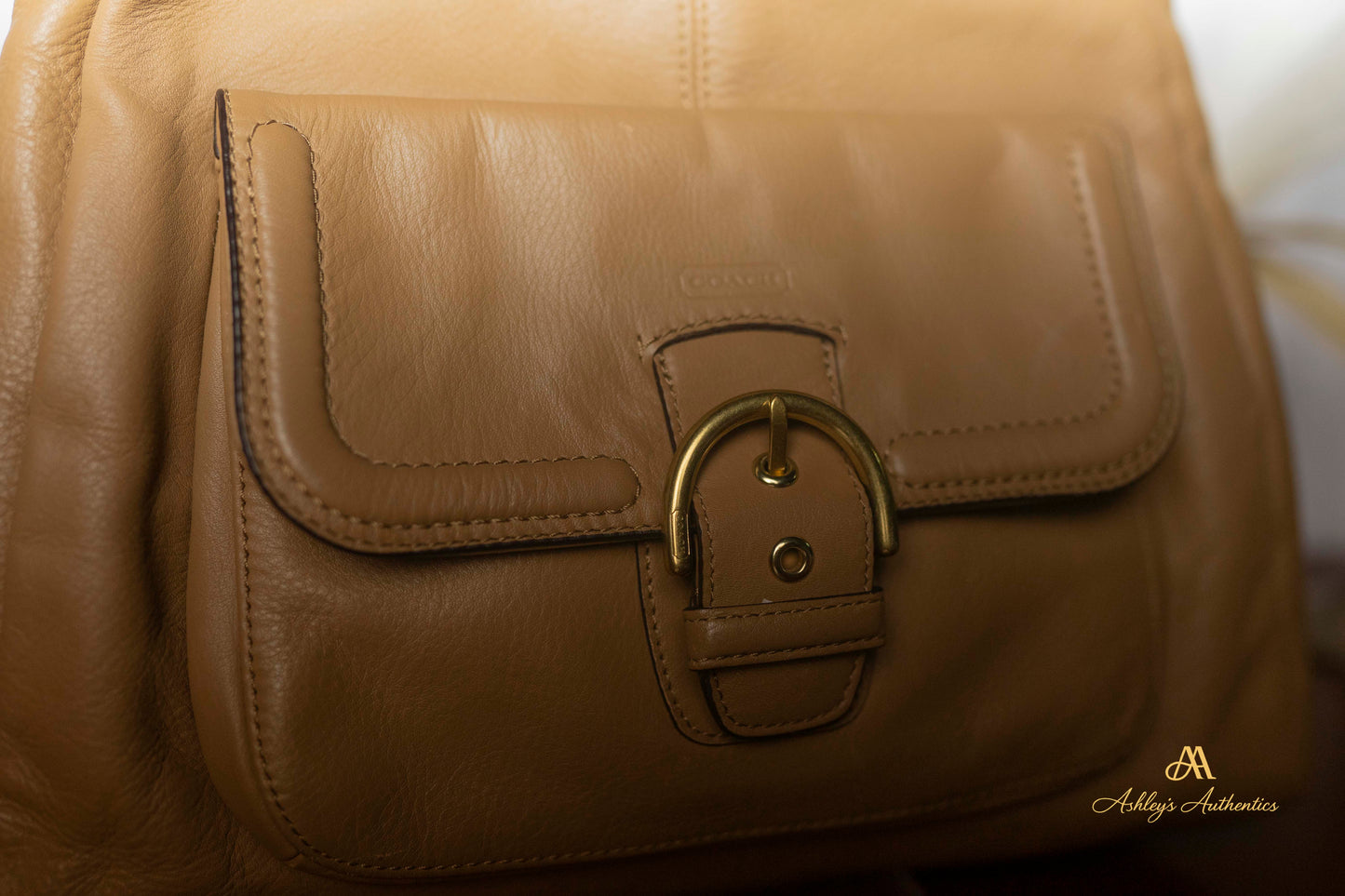 Coach Campbell Leather Triple Entry Leather Hobo Shoulder Bag